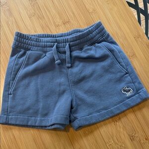 Abercrombie Kids Blue Shorts